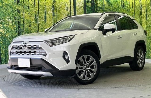2020 TOYOTA RAV4 2.0 G Z PACKAGE